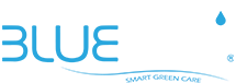 Blue Eco Logo